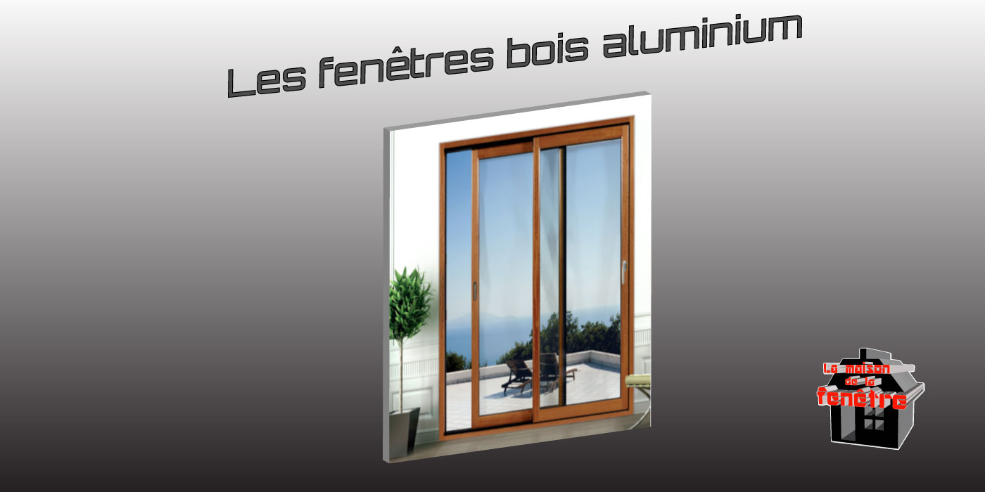fenêtre mixte bois aluminium contemporaine et rustiques